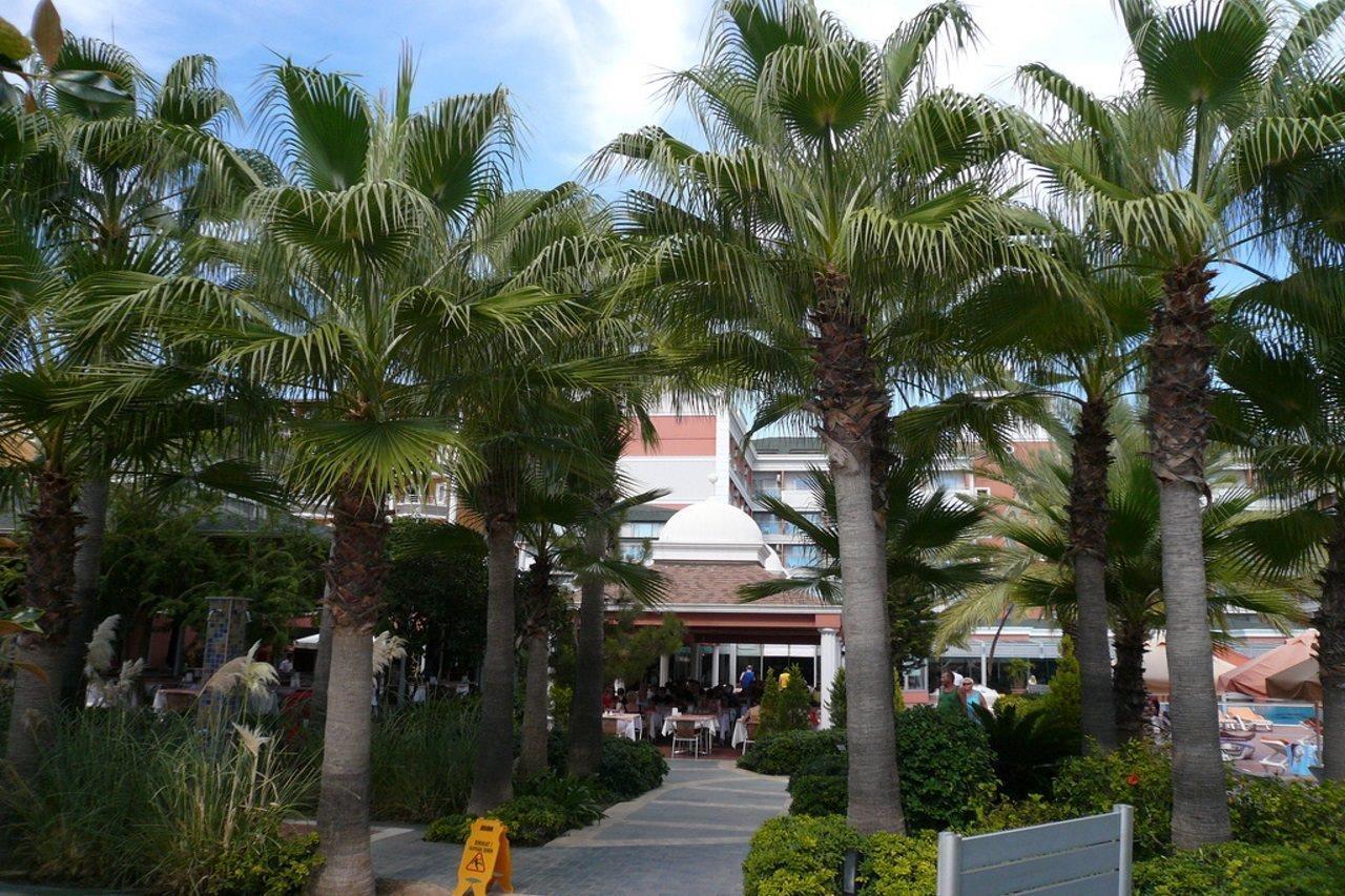 אלאניה Insula Resort & Spa מראה חיצוני תמונה